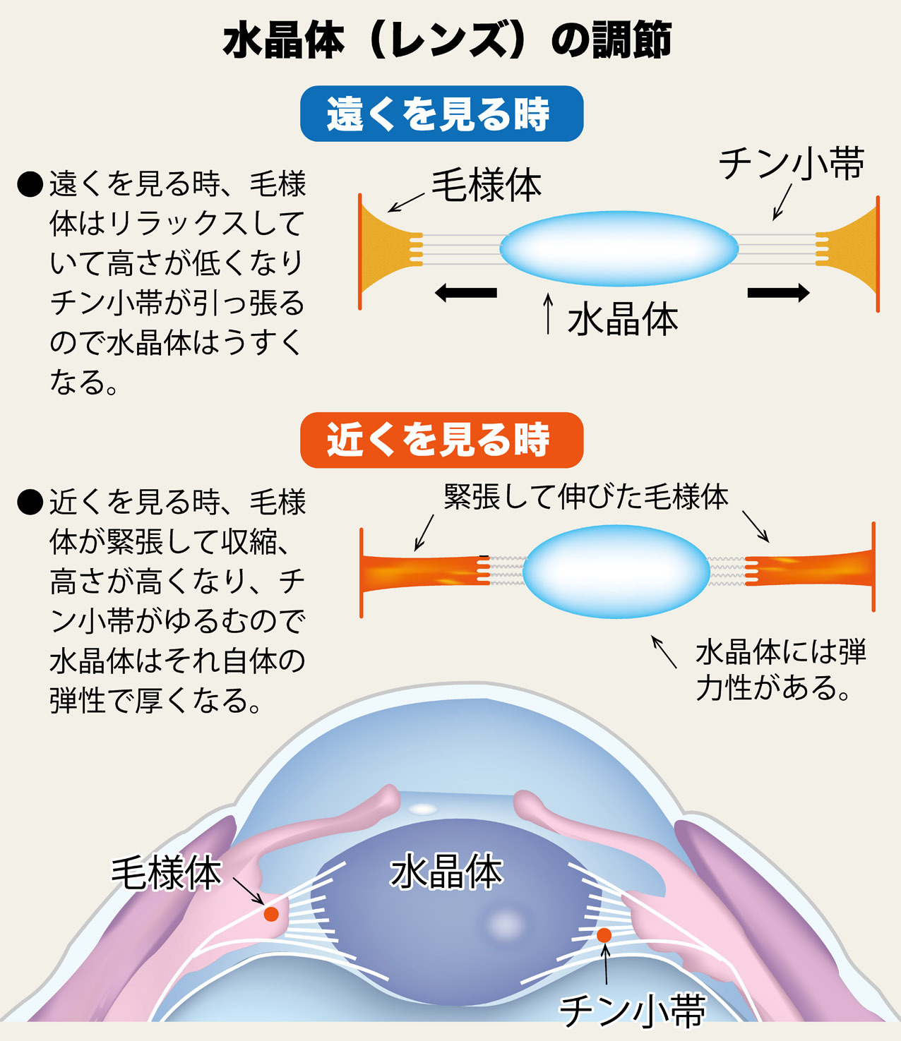 疲れ 目 時 が た