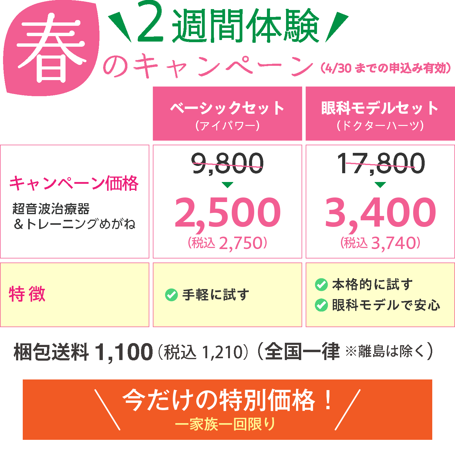 2週間レンタル料金表