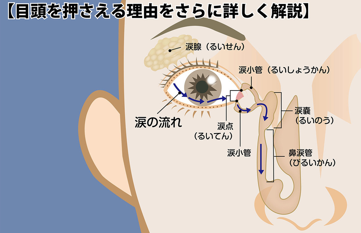 イラストで目薬の差し方を詳しく解説