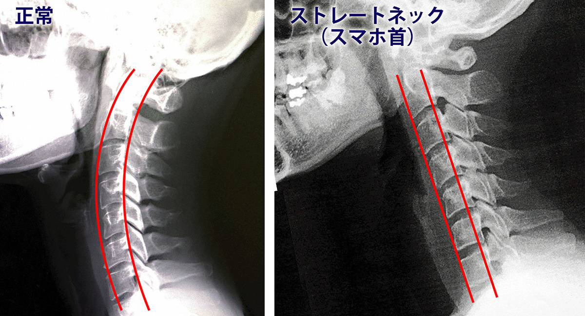 小学生向け子ども用パソコンの選び方。