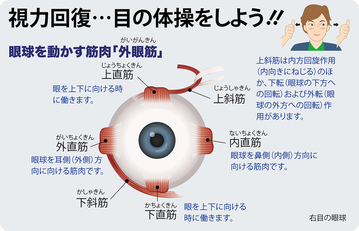 視力回復体操・視力回復トレーニング | 視力ケアセンター｜視力回復 無料体験会