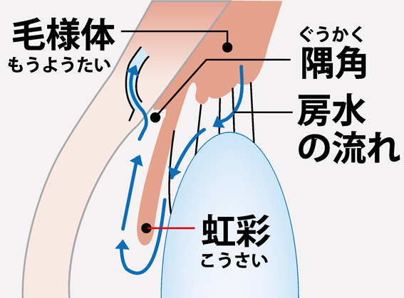 水晶体とは? その謎を解き明かします。