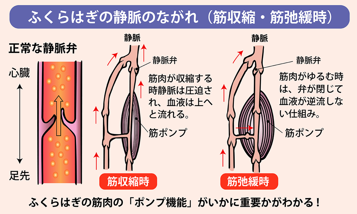 ウォーキング効果。高齢者ほど健康のために歩くことが大切