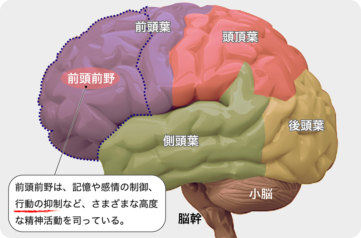 スマホ依存度をチェックしよう。 スマホ依存は集中力を低下させ、脳の発達に悪影響を!