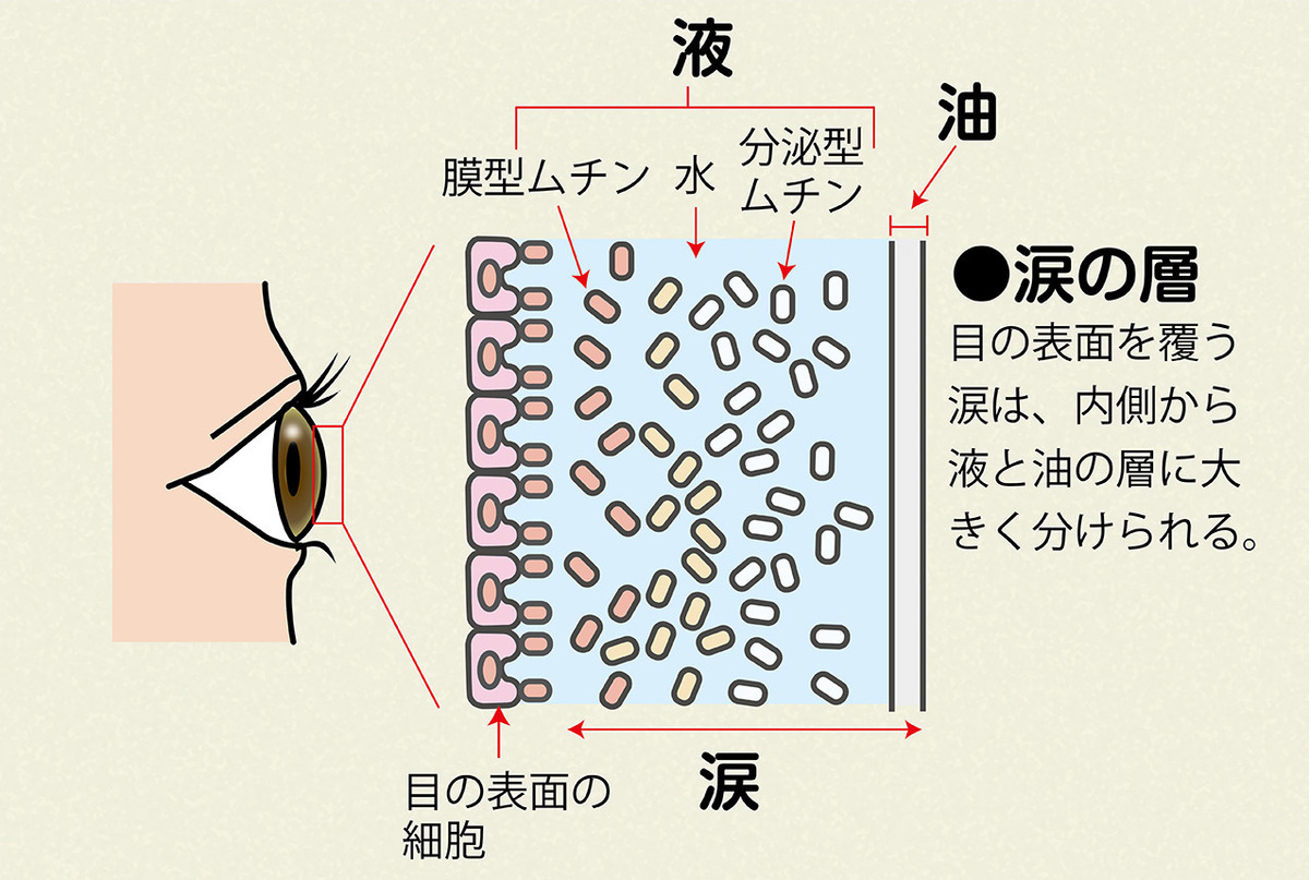 知識不足が目の障害を招く、コンタクトレンズ。