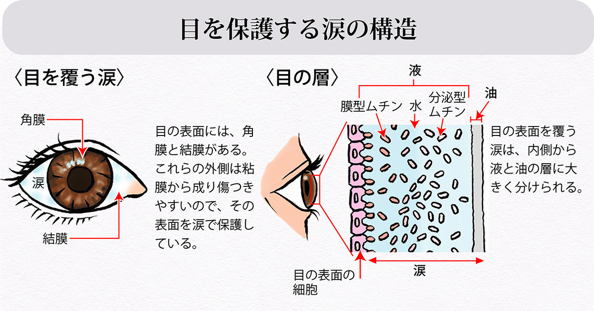 目薬をさしても疲れ目や乾き目が改善しないのは「涙の質」が原因。