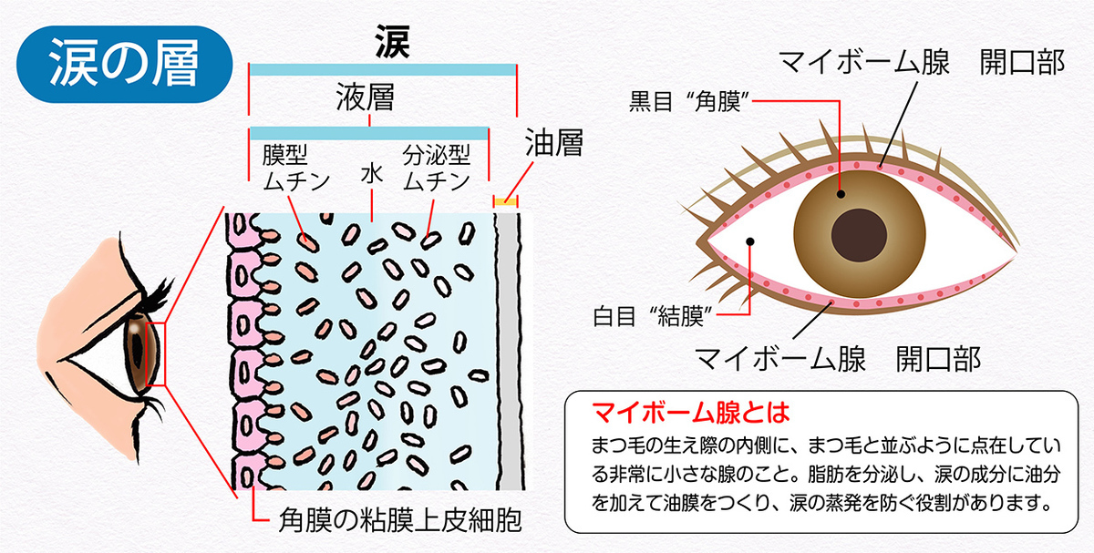 “涙”の秘密を知ることが、目の健康につながる。