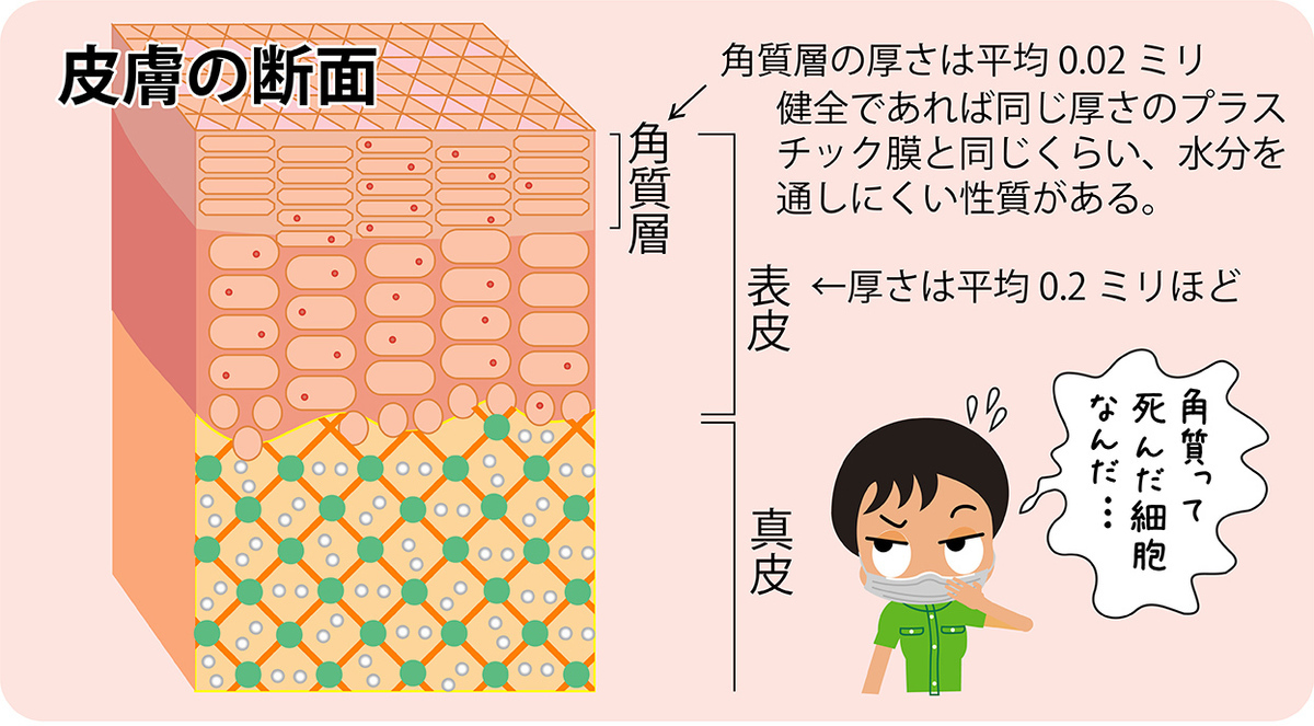 “涙”の秘密を知ることが、目の健康につながる。